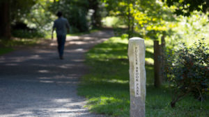 Fuller Brook jogging/running path