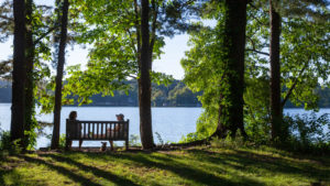 Two women talk on bench overlooking pond