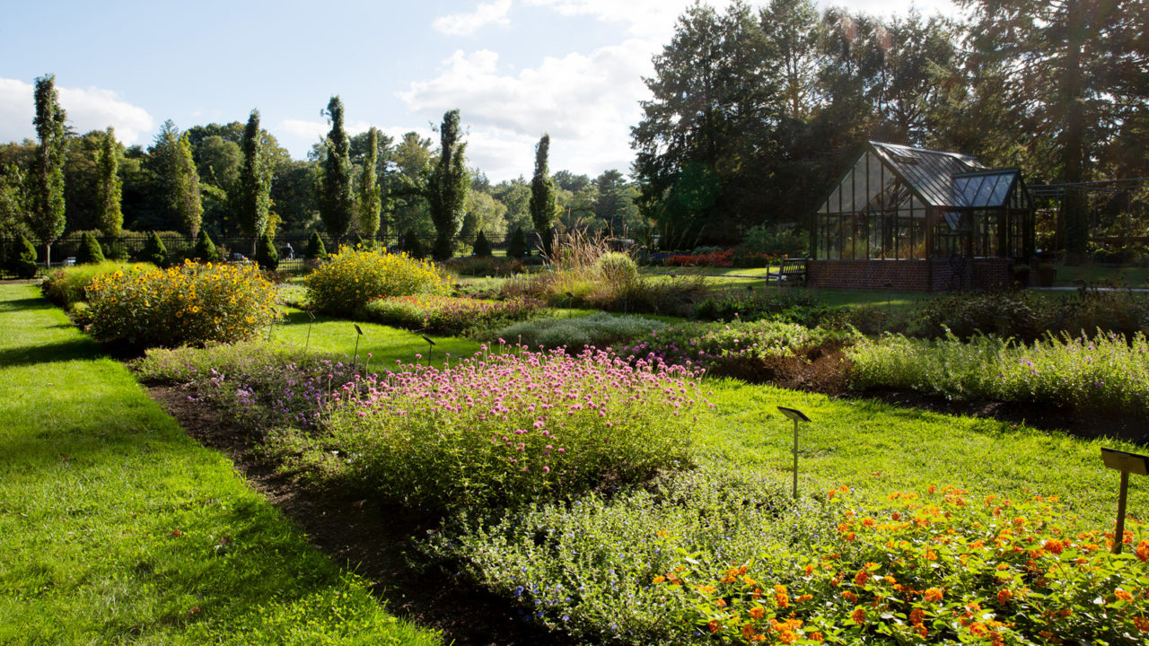 Greenhouse and gardens at Elm Bank