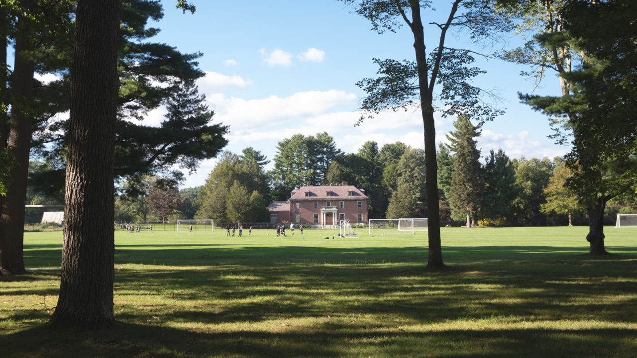 Soccer fields: Green open space